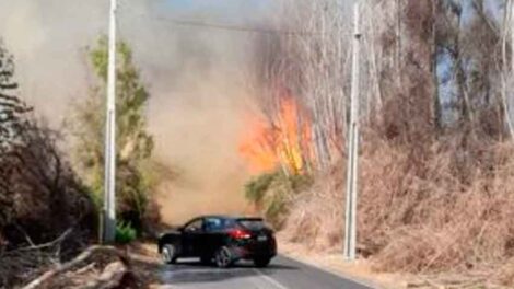 Bomberos resultó lesionado en combate de incendio forestal