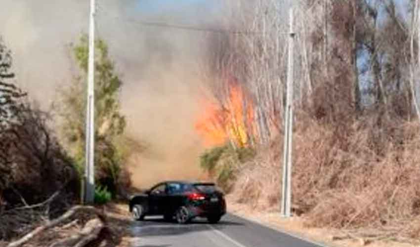 Bomberos resultó lesionado en combate de incendio forestal