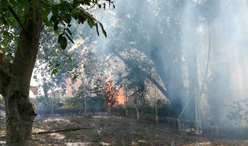 Trasladan a tres bomberos de Aranda al hospital