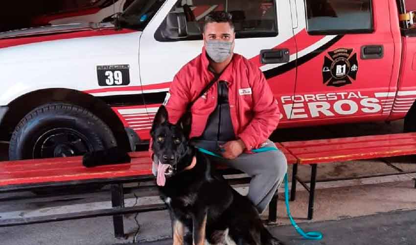 Bomberos voluntarios sumó un nuevo can al grupo K-9