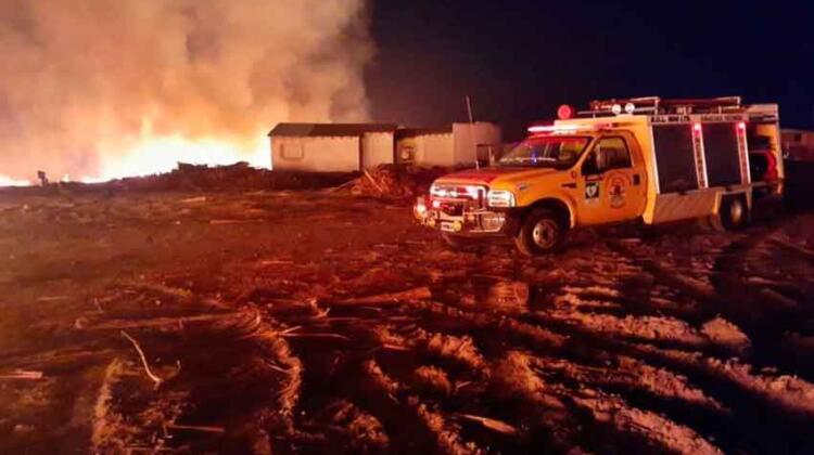 Bomberos luchan por sofocar un feroz incendio forestal en Concordia