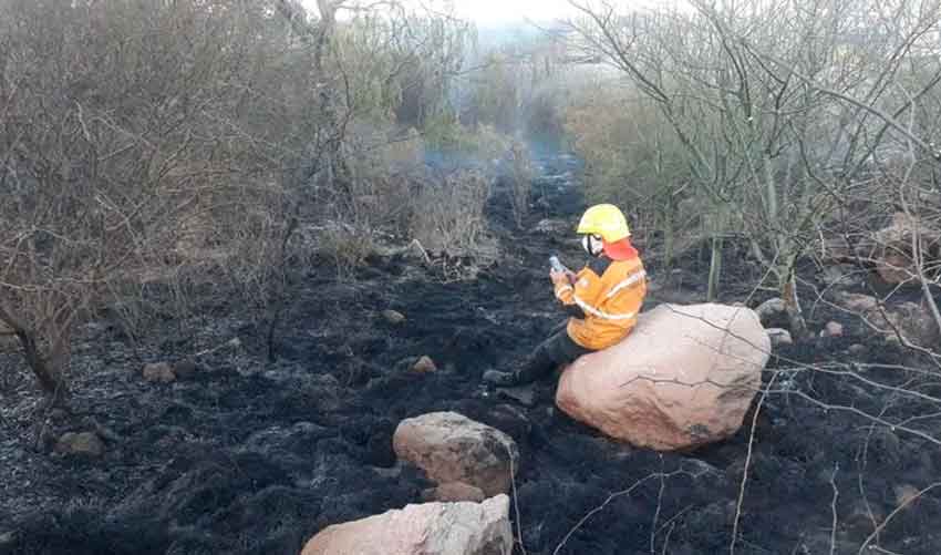 Terminó de apagar un incendio y se conectó para rendir una materia