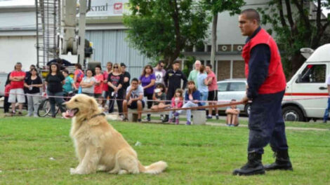 Murió Nilo: histórico perro de los bomberos