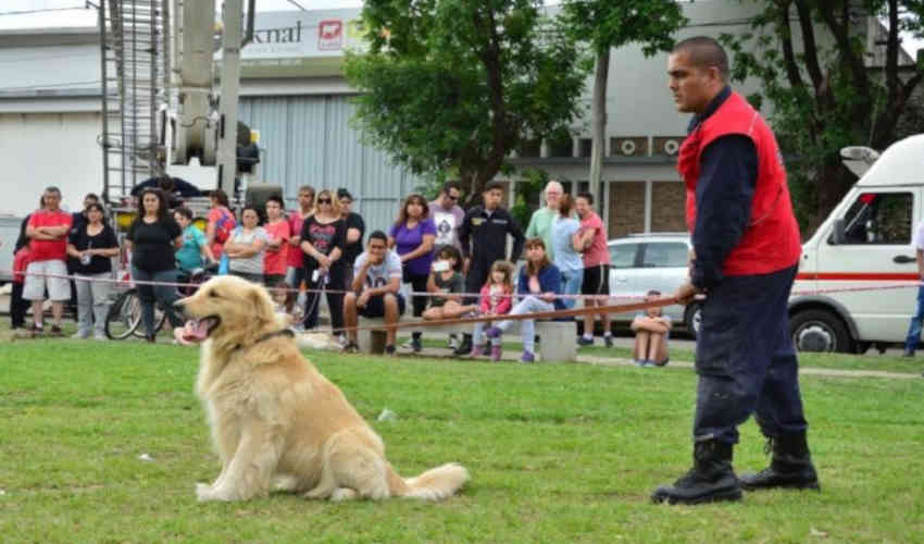 Murió Nilo: histórico perro de los bomberos