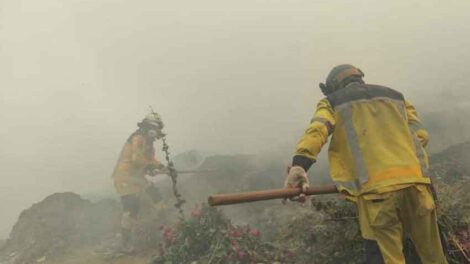 Bomberos piden seguro de vida e indumentaria para sofocar incendios