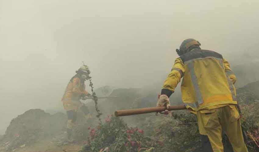 Bomberos piden seguro de vida e indumentaria para sofocar incendios