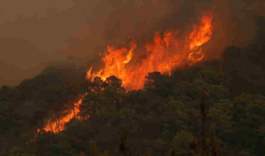 Muere un bombero en incendio forestal en Sierra Bermeja