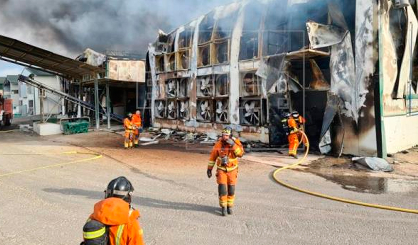 Dos bomberos heridos en la extinción de un incendio en una granja avícola