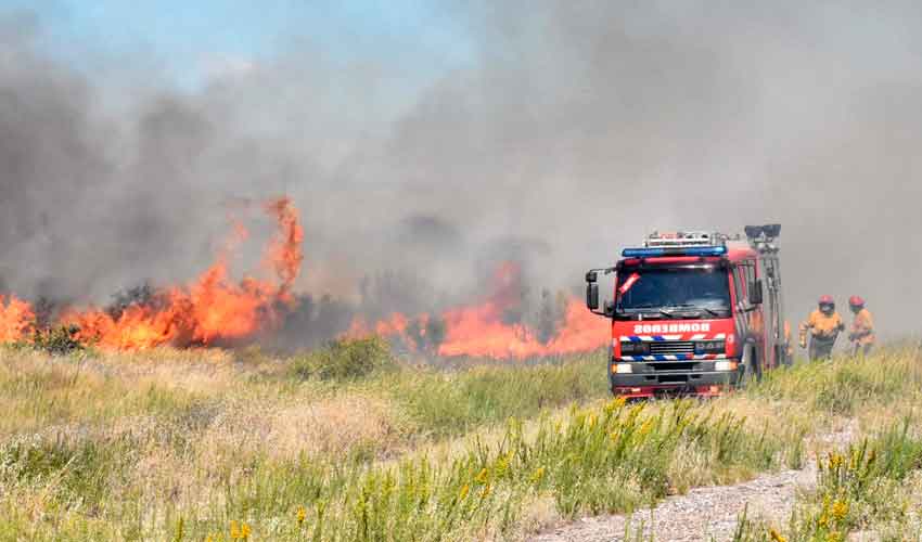 Bomberos de Río Negro contarán con una APP creada por estudiantes