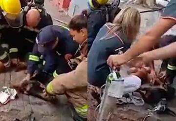 VIDEO: Bomberos salvaron a tres perros de un incendio