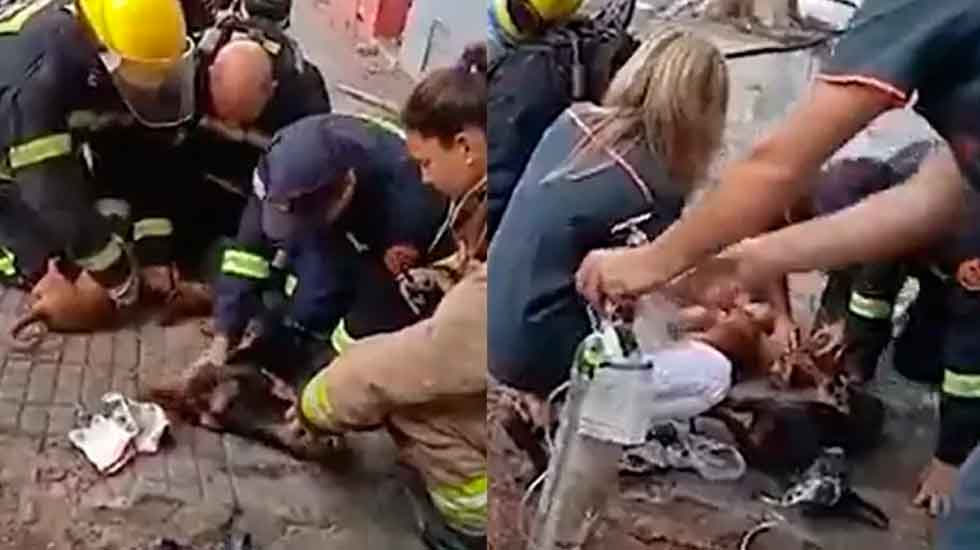 VIDEO: Bomberos salvaron a tres perros de un incendio