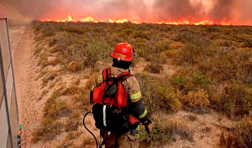 Los Bomberos criticaron al Gobierno por la falta de trabajo coordinado