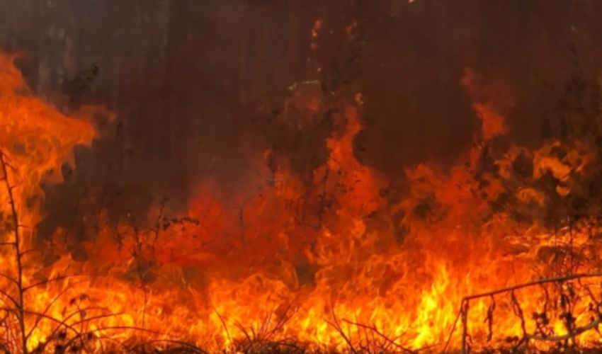 Continúa el fuego en Paysandú y Río Negro