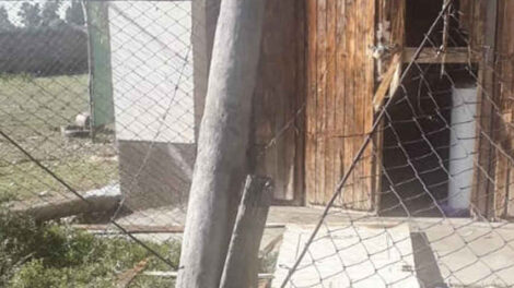 Robaron y destrozaron el cuartel de Bomberos de Rama Caída