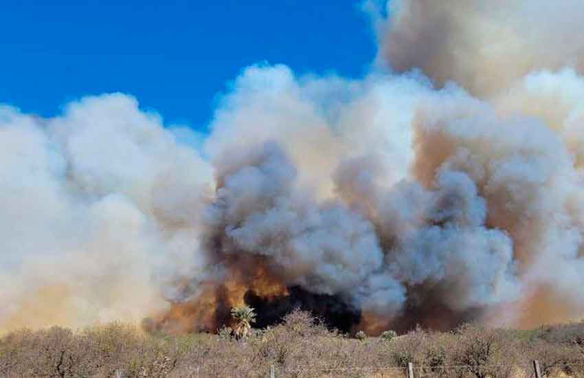 Bomberos intentan contener un foco en San Francisco del Chañar