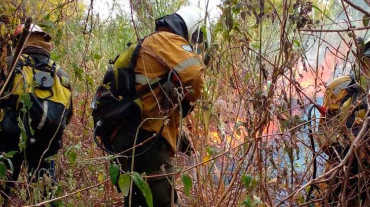Intenso trabajo de Bomberos para combatir los incendios en la isla Puente de Paraná