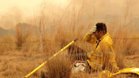 Habló el bombero que protagonizó la foto que recorrió el mundo