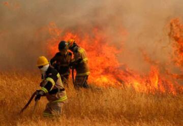 Cuatro casas destruidas y más de 800 hectáreas afectadas dejaron incendios forestales