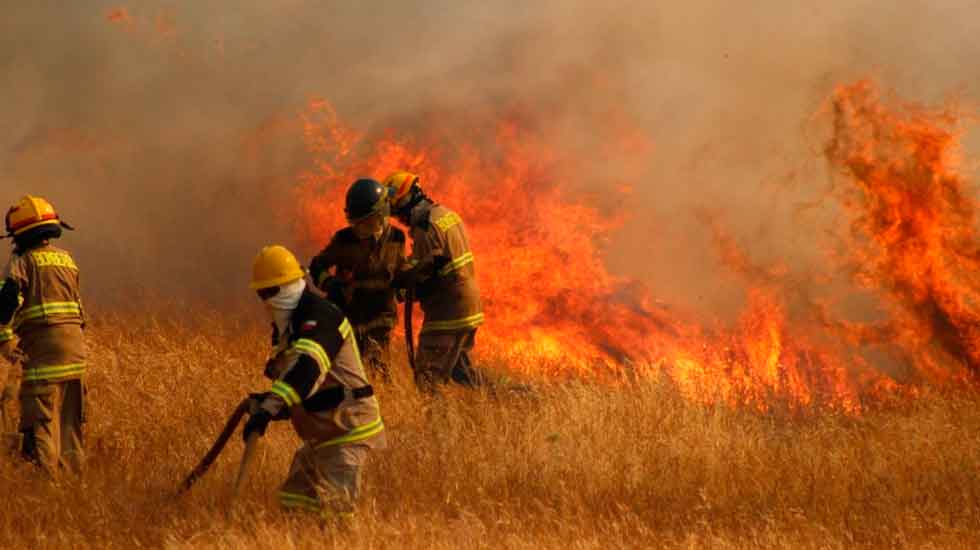 Cuatro casas destruidas y más de 800 hectáreas afectadas dejaron incendios forestales