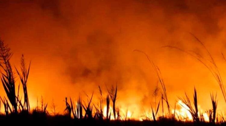 Bomberos pampeanos viajaron a Corrientes para combatir incendios