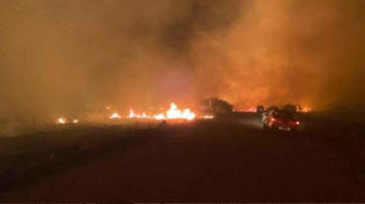 Coordinación Única de Operaciones: incendios forestales en Corrientes