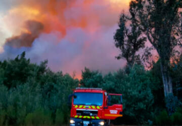 Alerta Roja en Coelemu por incendio que amenaza viviendas