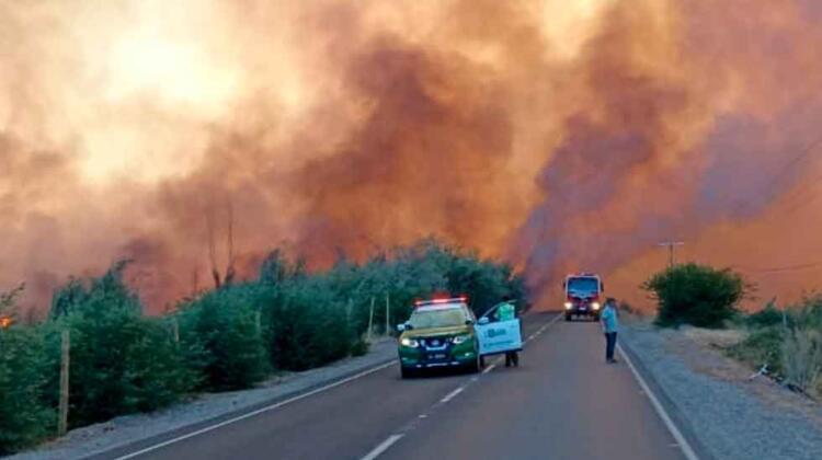 Declaran Alerta Roja en Chillán por incendio forestal