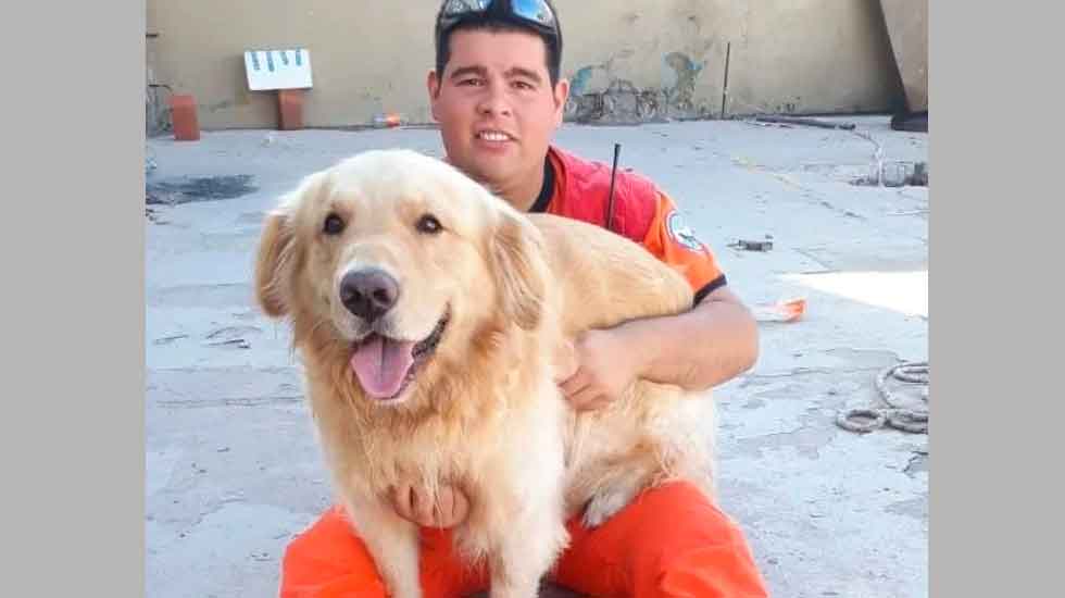 Bomberos: fallecieron dos perros del grupo de rescate K-9
