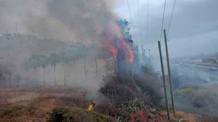 Bomberos necesita más equipo para enfrentar incendios forestales