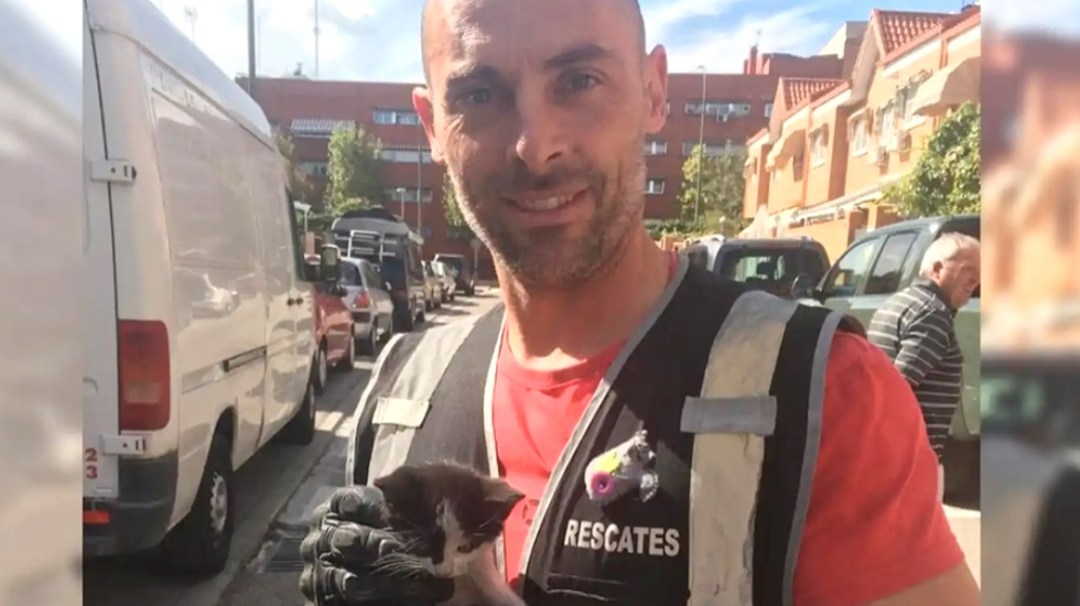 Un bombero de Madrid fuera de servicio muere tras ser atropellado
