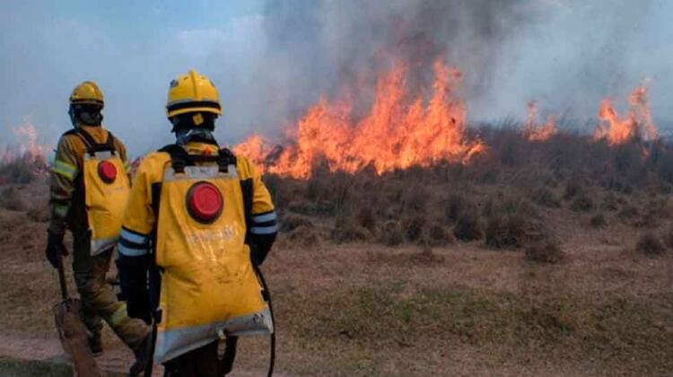 Labores de contención de los incendios en el Delta del Paraná