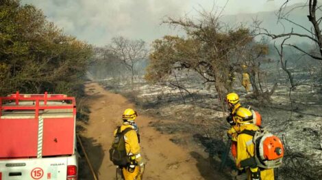No quedan focos activos y bomberos mantienen guardia de cenizas