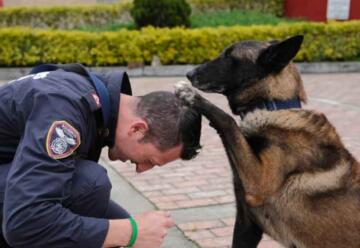Daki: el bombero canino que rescata vidas