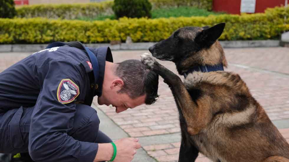Daki: el bombero canino que rescata vidas