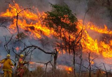 Bomberos combaten importante incendio en el Valle de Punilla