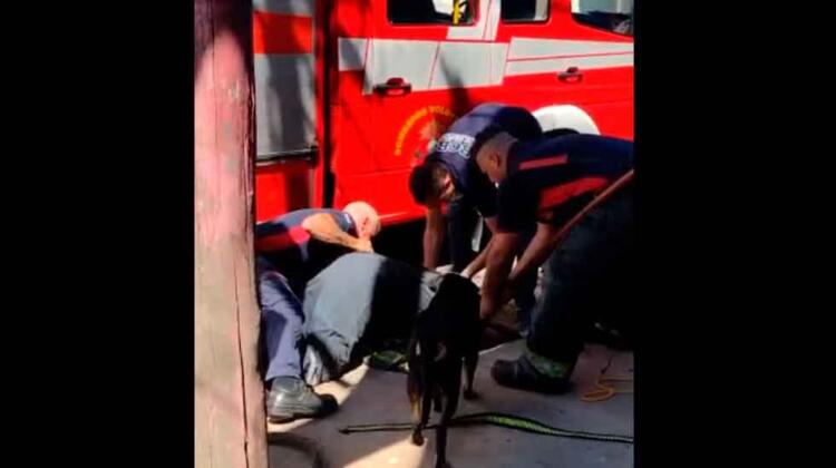 Bomberos salvaron la vida de un perro que cayó en alcantarilla
