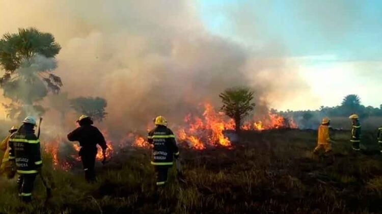 Alerta: en Corrientes hay 20 focos de incendios activos