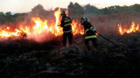 Ardua labor de Bomberos Zapadores de Rafaela durante el 2022