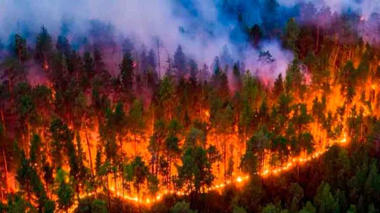 Incendios forestales en Uruguay y reclamos de bomberos