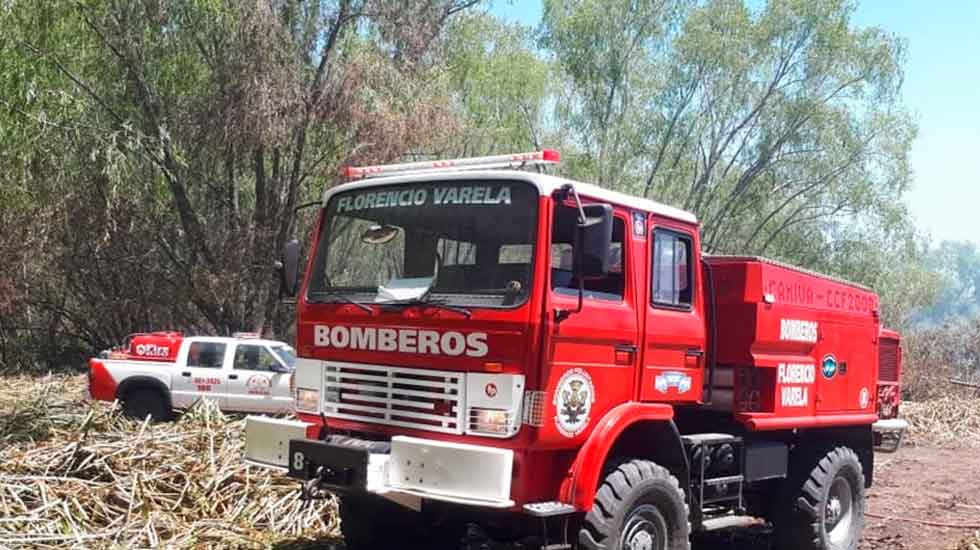 Un bombero salvó del fuego a un grupo de perros mientras apagaba un incendio
