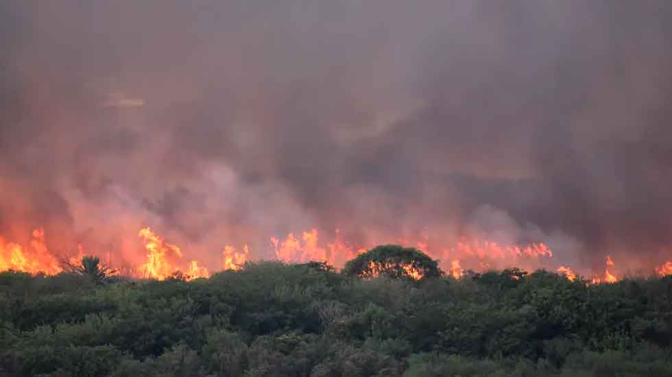 Bomberos lograron controlar el fuego en la Reserva Ecológica