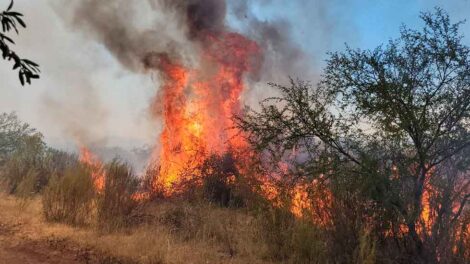 Trabajo en los Incendios Forestales en Entre Ríos