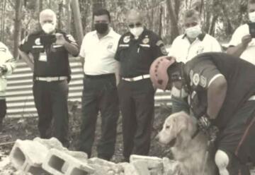 Después de 9 años de servicio muere perro rescatista de los Bomberos