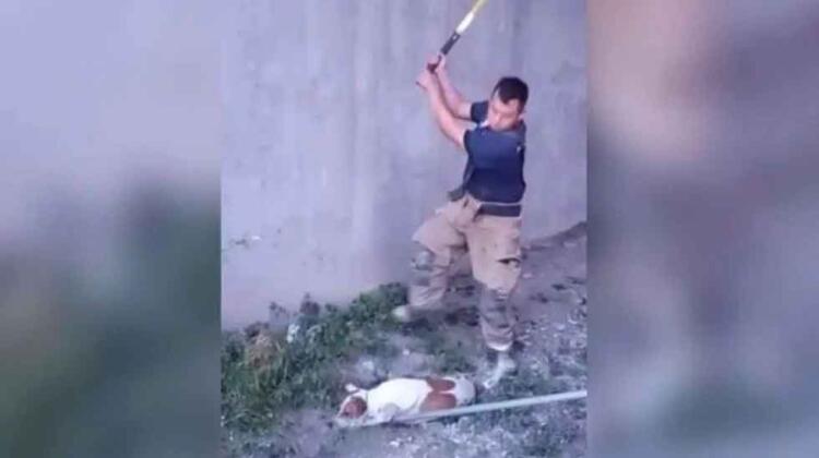 Detienen a uno de los bomberos que mató perritos a golpes