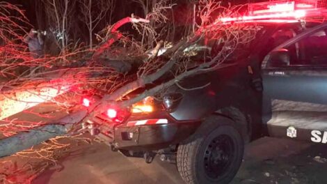 Un árbol cayó sobre un móvil de bomberos y lo dejó fuera de servicio