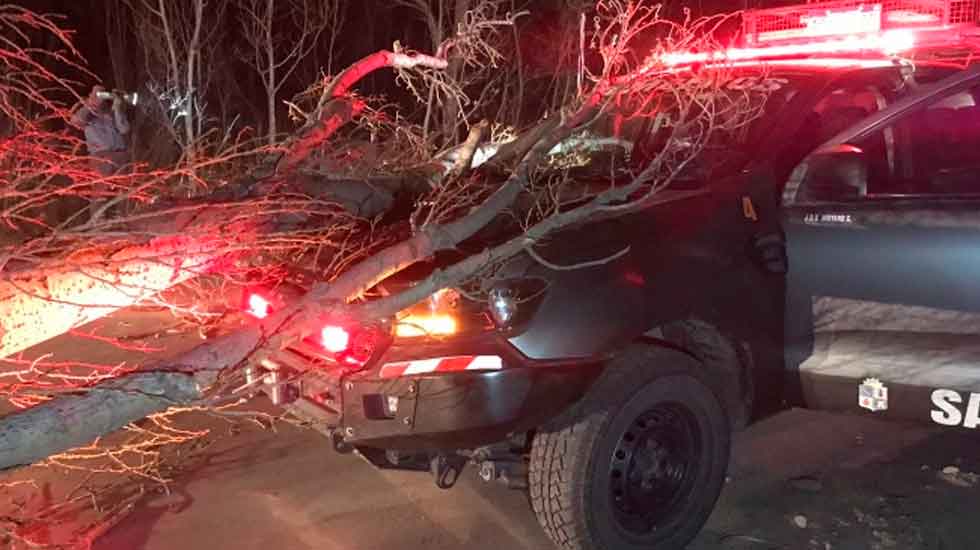 Un árbol cayó sobre un móvil de bomberos y lo dejó fuera de servicio