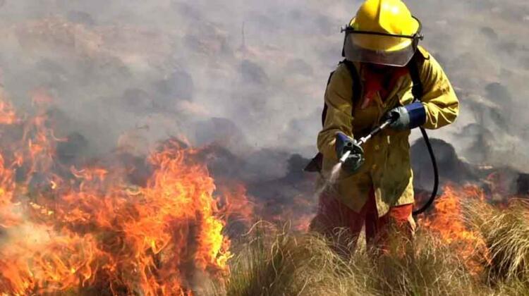 Bomberos combaten un incendio forestal en cercanías de Alta Gracia