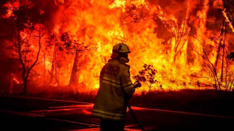 Bomberos Combaten Incendios Forestales en diferentes provincias
