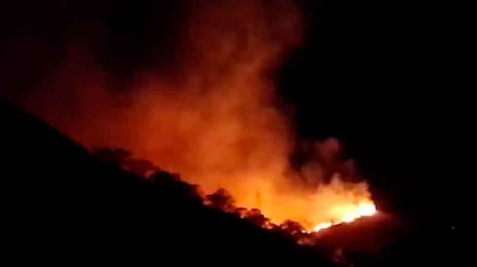 Dos bomberos resultaron heridos en un incendio forestal