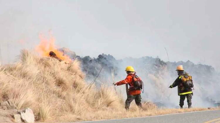 Bomberos Combaten un incendio forestal en las sierras